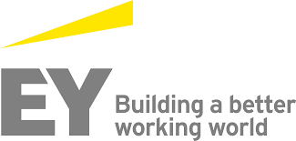 Ernst & Young (Consulting Practice) NA
