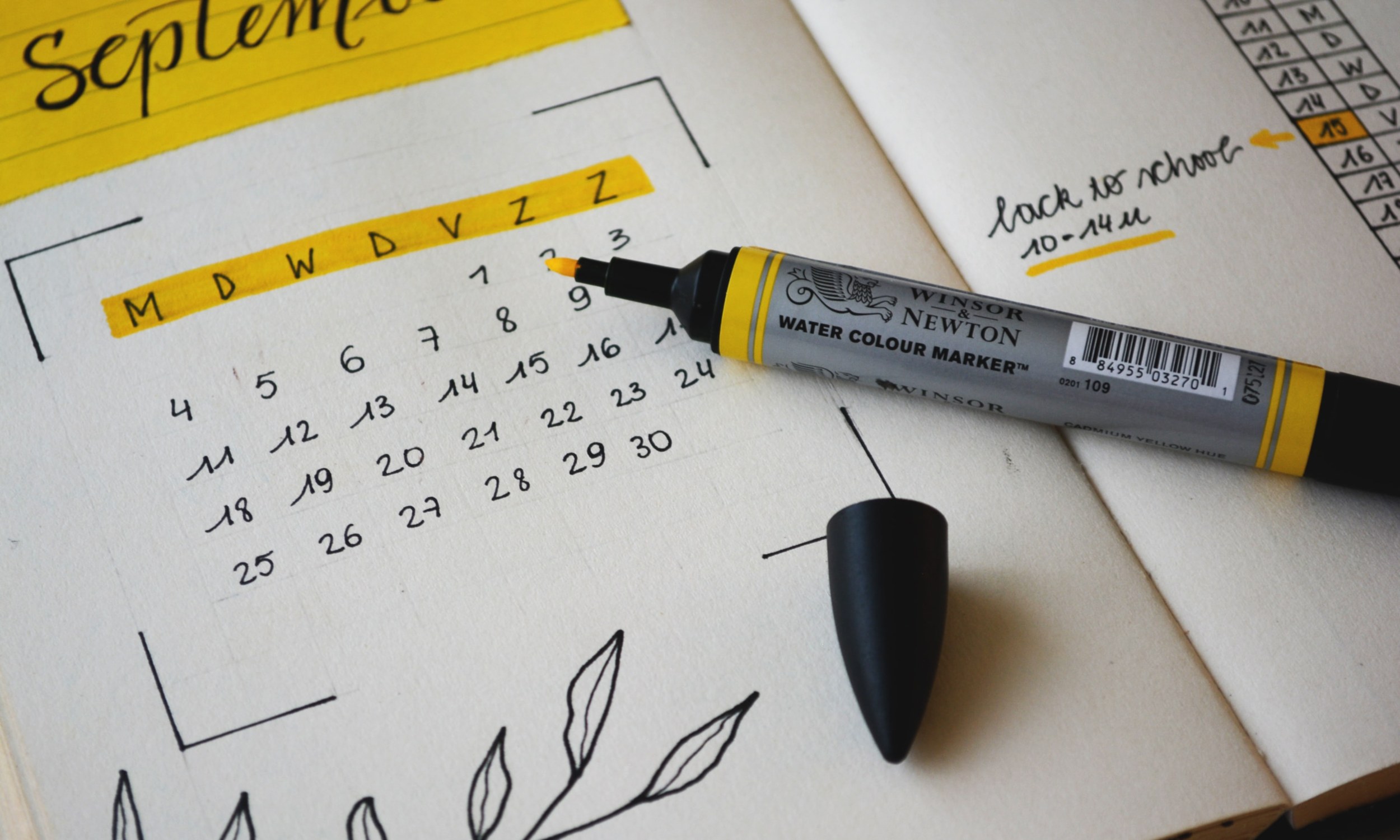 Creating a calendar helps you plan everything out